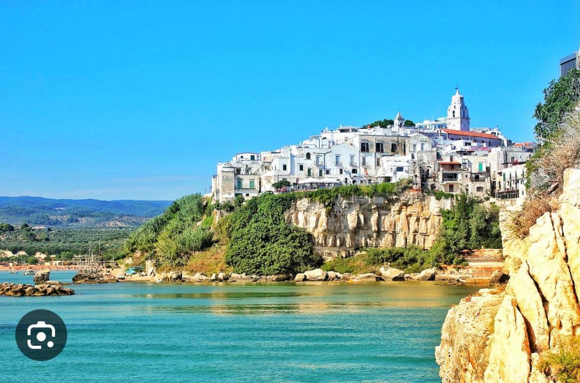 B&B Tra Le Vie Del Borgo Vieste Eksteriør billede